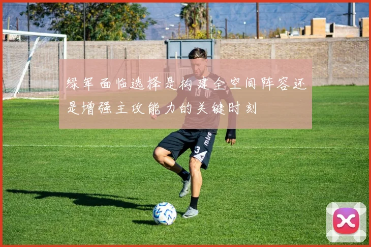 绿军面临选择是构建全空间阵容还是增强主攻能力的关键时刻