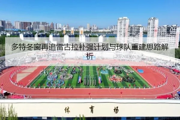 多特冬窗再追雷古拉补强计划与球队重建思路解析（leyusports）